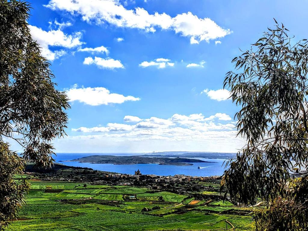ナダにあるTwenty9thの木々の大水の景色