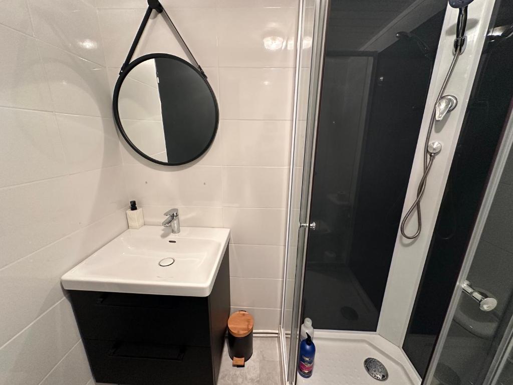 a bathroom with a sink and a shower with a mirror at Gîte Cosy - 41m2 - Hyper Centre - Climatisation in Langeac