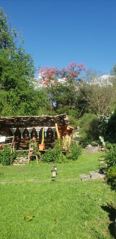 a house in a field of green grass at Cabañas spa el petrel in San Javier