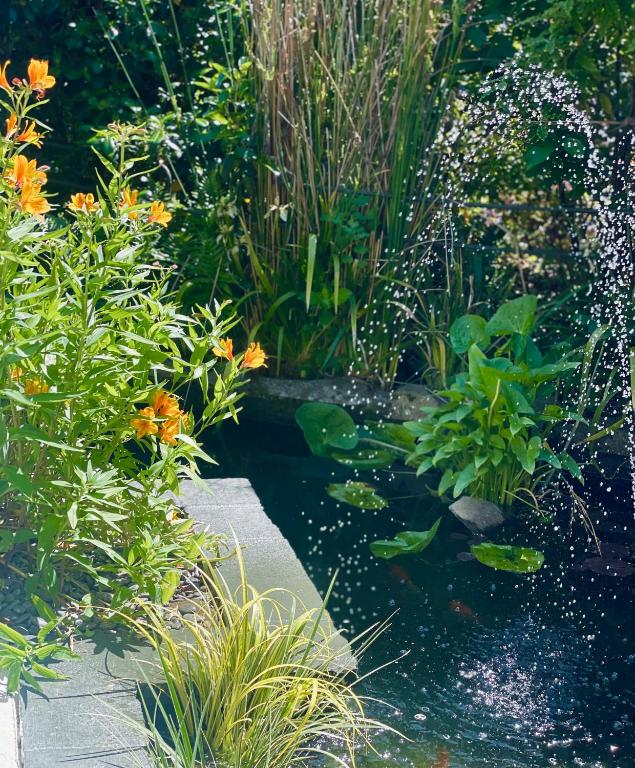 Ashleigh Court Motel-Christchurch Hagley Park - Resim 15