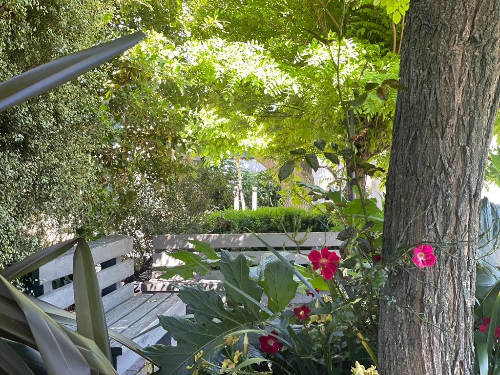 Ashleigh Court Motel-Christchurch Hagley Park - Resim 18