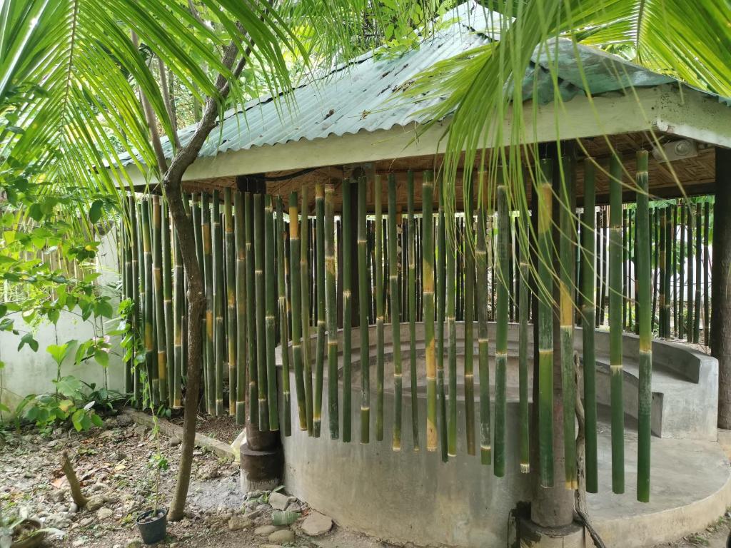 Zahrada ubytování La Vida Hostel Samal Island