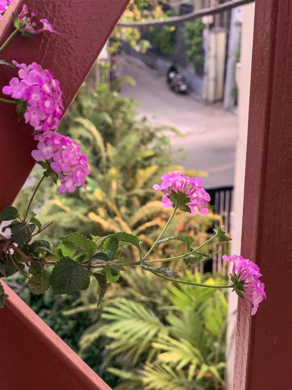 Zahrada ubytování An Hiên Homestay Hội An