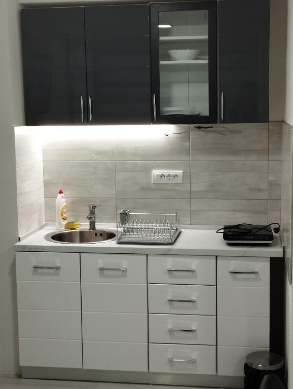 Kuchyň nebo kuchyňský kout v ubytování Lela lux