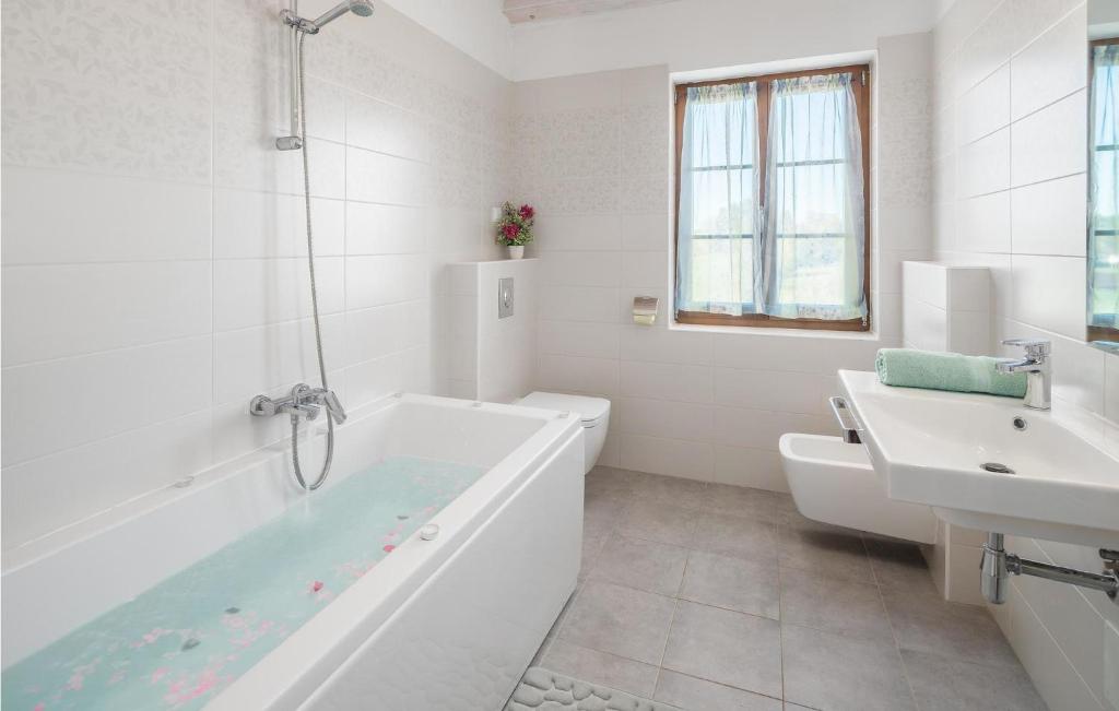 Łazienka w obiekcie Pet Friendly Home In Barban With Sauna