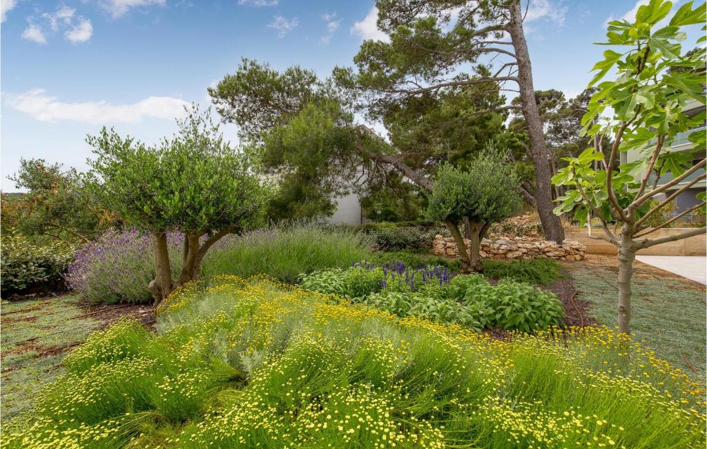 Vonkajšia záhrada v ubytovaní Lovely Apartment In Mali Losinj