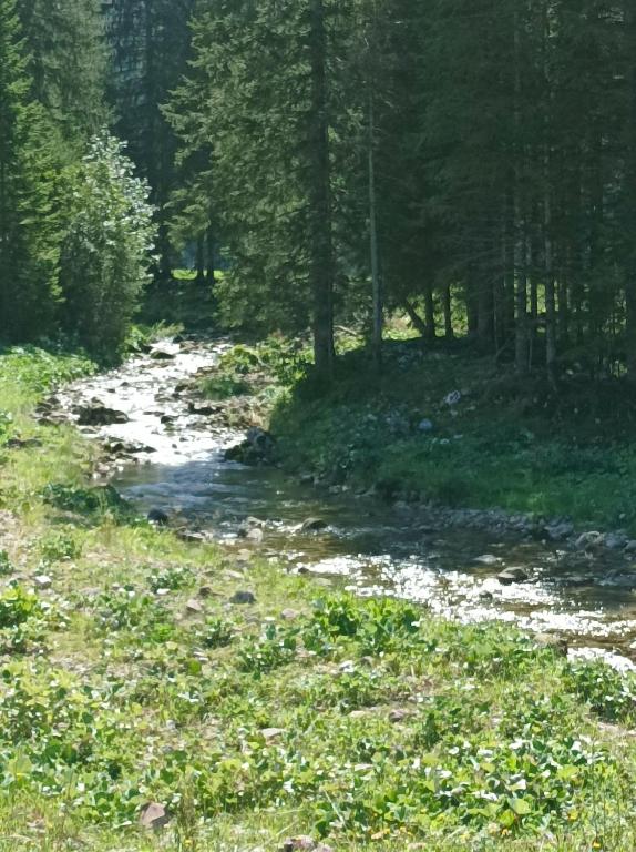 Příroda nedaleko apartmánu