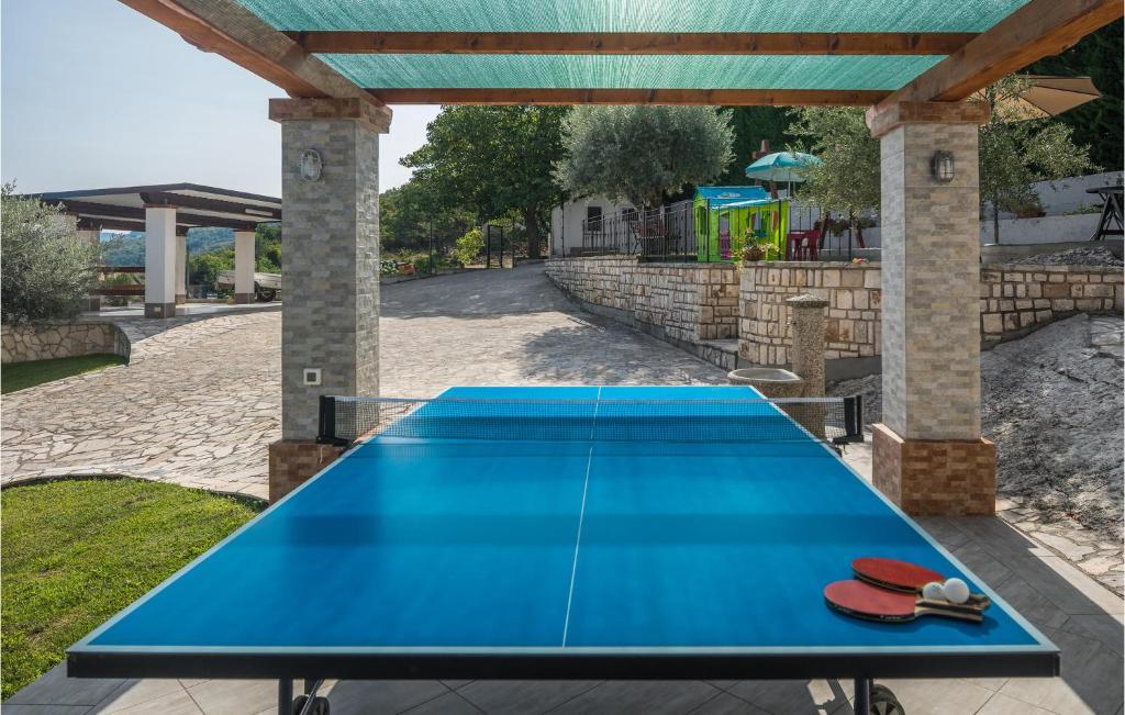 Tenis stołowy w obiekcie 3 Bedroom Nice Home In Plovanija lub pobliżu