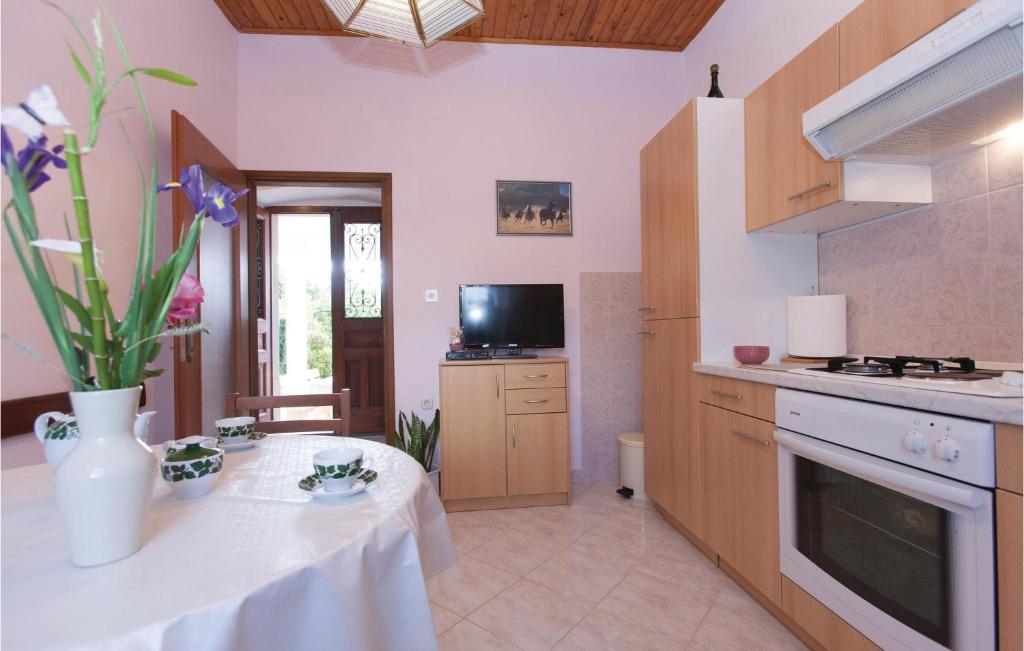 Kuchnia lub aneks kuchenny w obiekcie Apartment Labin Kapelica Iii