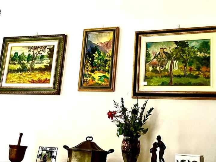 Galeri foto Dar Andrea di Sousse