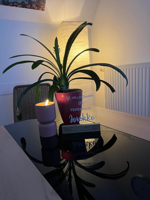 Posezení v ubytování Ferienhaus Joschko