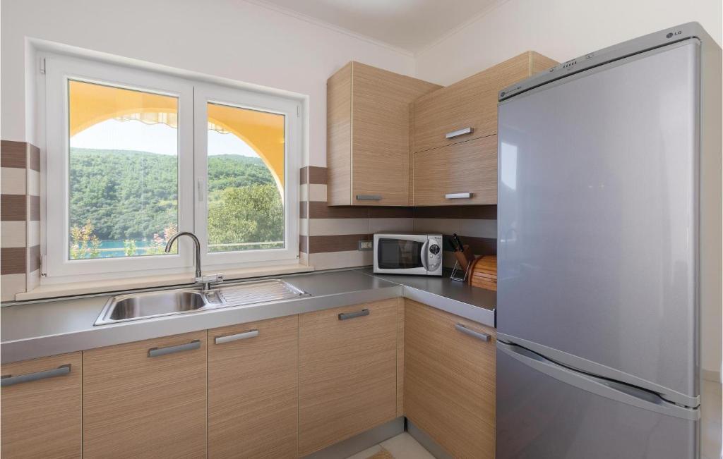 Kuchnia lub aneks kuchenny w obiekcie Apartment Labin Duga Luka