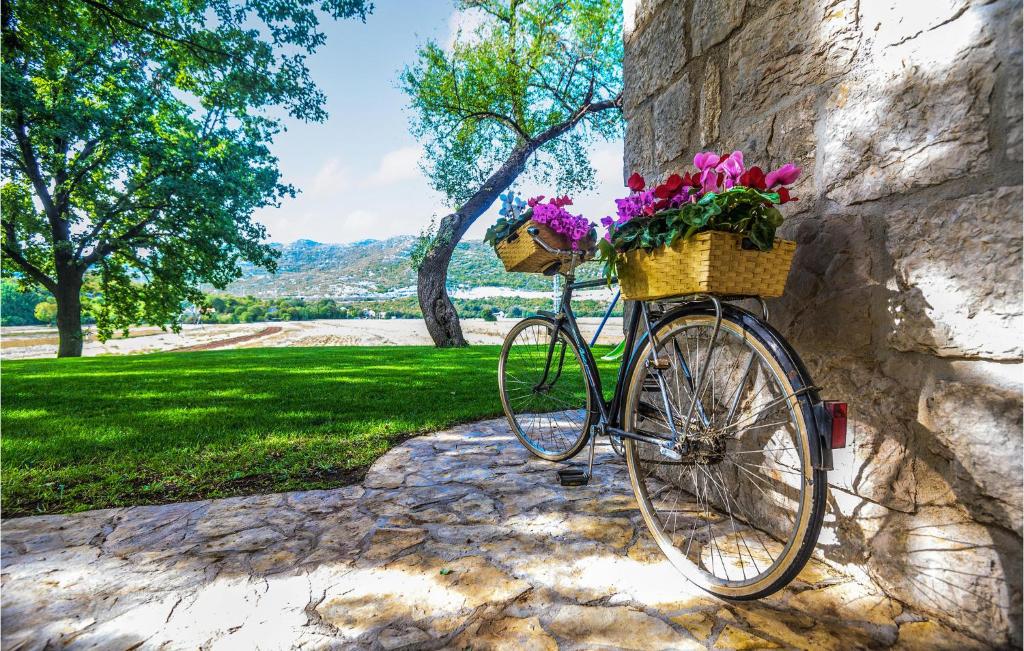 Jazda na bicykli v okolí ubytovania Stunning Home In Dicmo With Kitchen