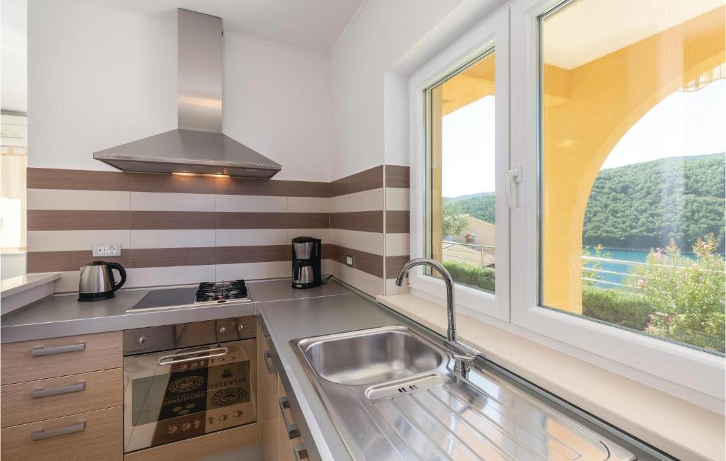 Kuchnia lub aneks kuchenny w obiekcie Apartment Labin Duga Luka