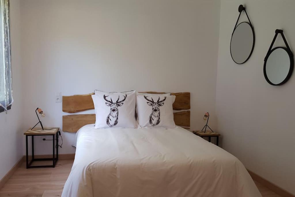 ein Schlafzimmer mit einem weißen Bett und zwei Kissen in der Unterkunft Le Pti'Fernin, Gîte de Sologne in Saint-Viâtre