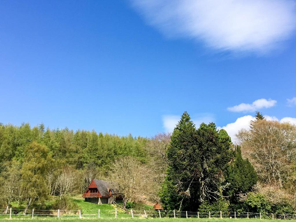 a barn in the middle of a field with trees at Pine Lodge - Uk7049 in Glenurguhart