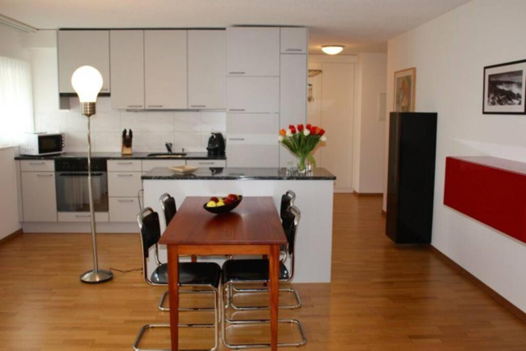 Executive 1BD flat in city center - Hösch 3