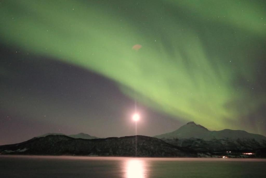 una aurora en el cielo sobre un cuerpo de agua en Arctic Sky Sanctuary, en Ytre Tomasjord