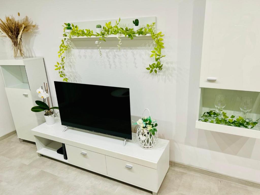 Μια τηλεόραση ή/και κέντρο ψυχαγωγίας στο Apartament Spring