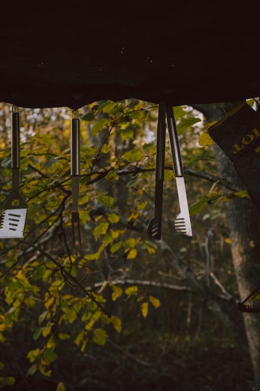 Fotografie z fotogalerie ubytování Dragon Glamping v Luži