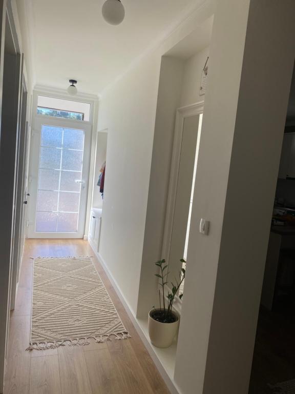 un pasillo con una puerta, una alfombra y una planta en Virtuo Apartment, en Budva