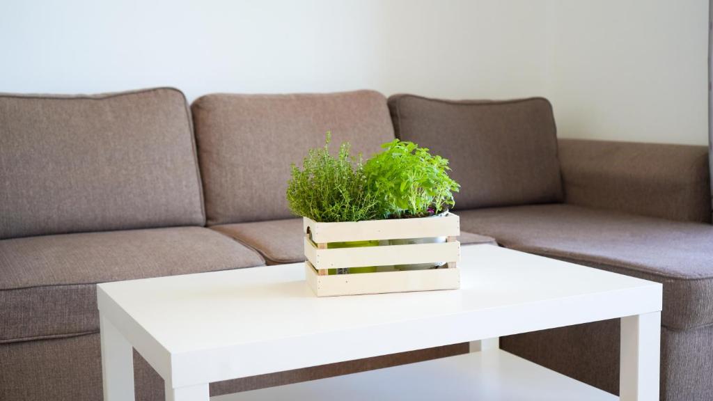 A seating area at APARTAMENT LO COR DEL DELTA