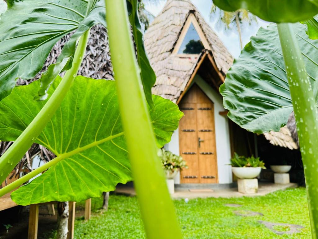 Zahrada ubytování Turtle Wood Cabin