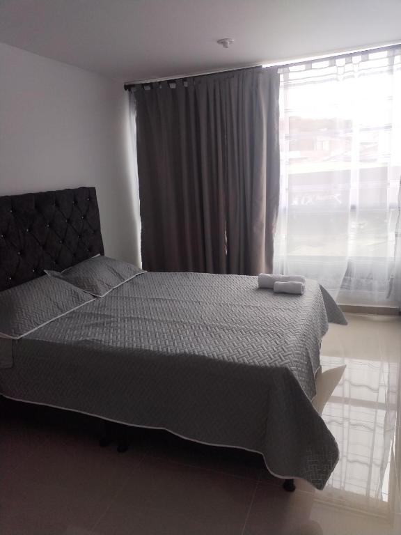 Apartaestudio