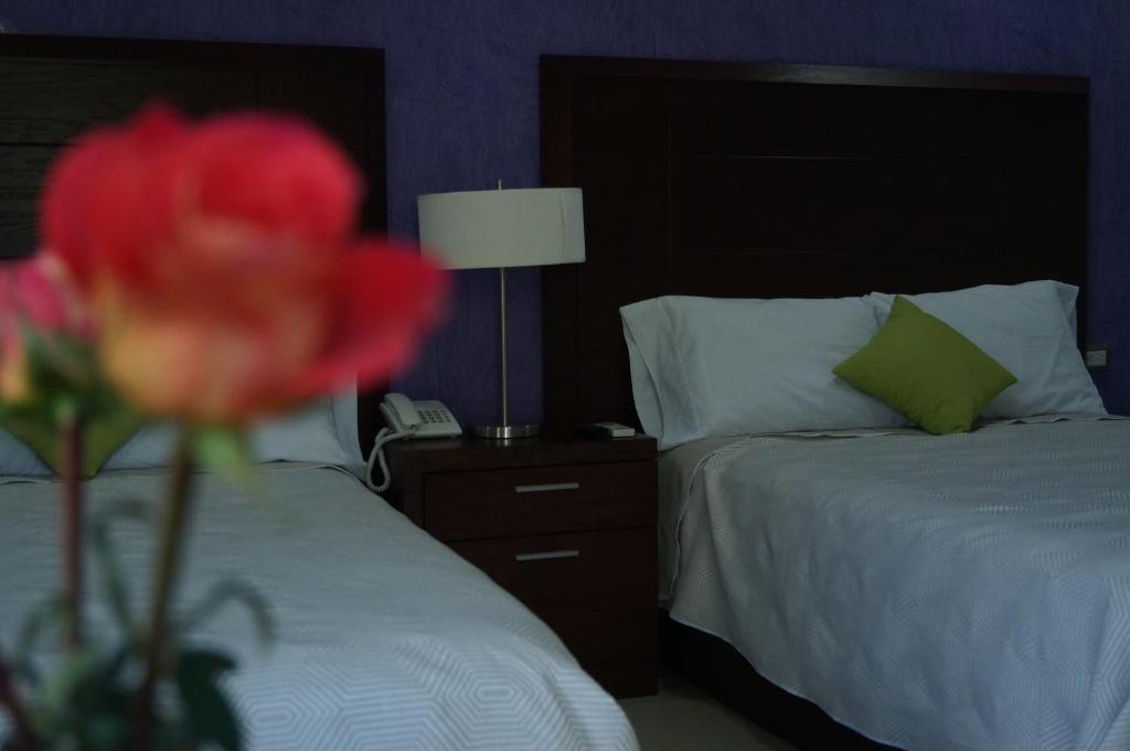 Postel nebo postele na pokoji v ubytování Hotel Casa Palomino