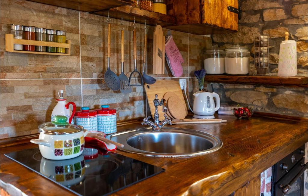 Kuchyňa alebo kuchynka v ubytovaní Gorgeous Home In Zelengrad With Kitchen
