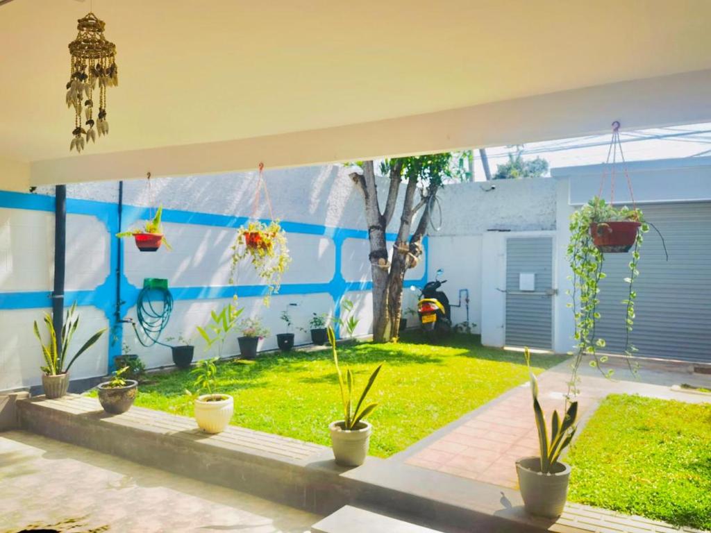 Zahrada ubytování Sea Breeze Guest House Negombo