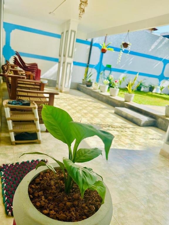 Posezení v ubytování Sea Breeze Guest House Negombo
