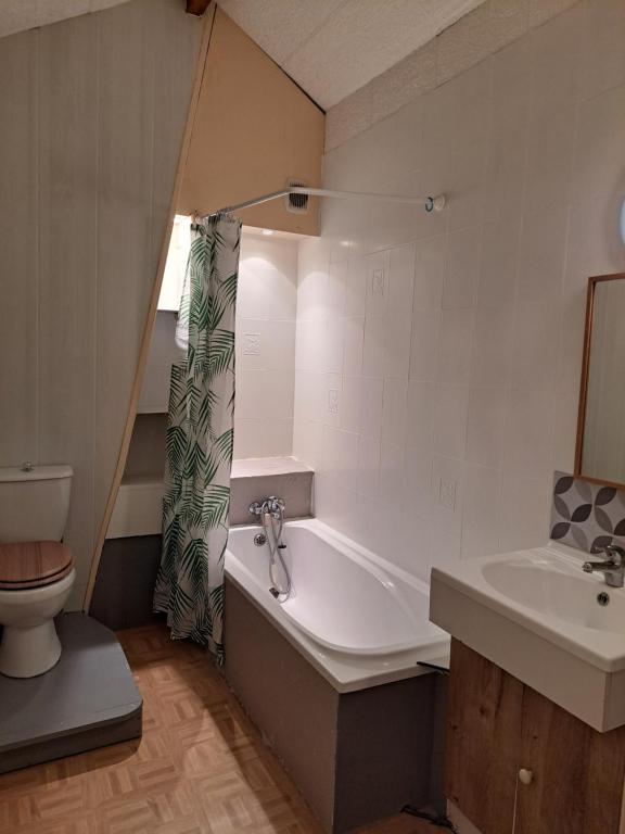 Koupelna v ubytování Chambre dans maison en colocation