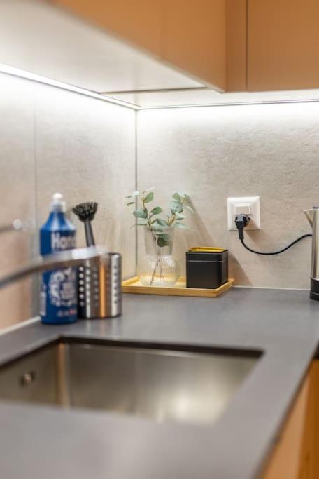 Jasminkas Host 2, Ruhig, City und Naturnah, Gratis Parkplatz und Balkon - Resim 25