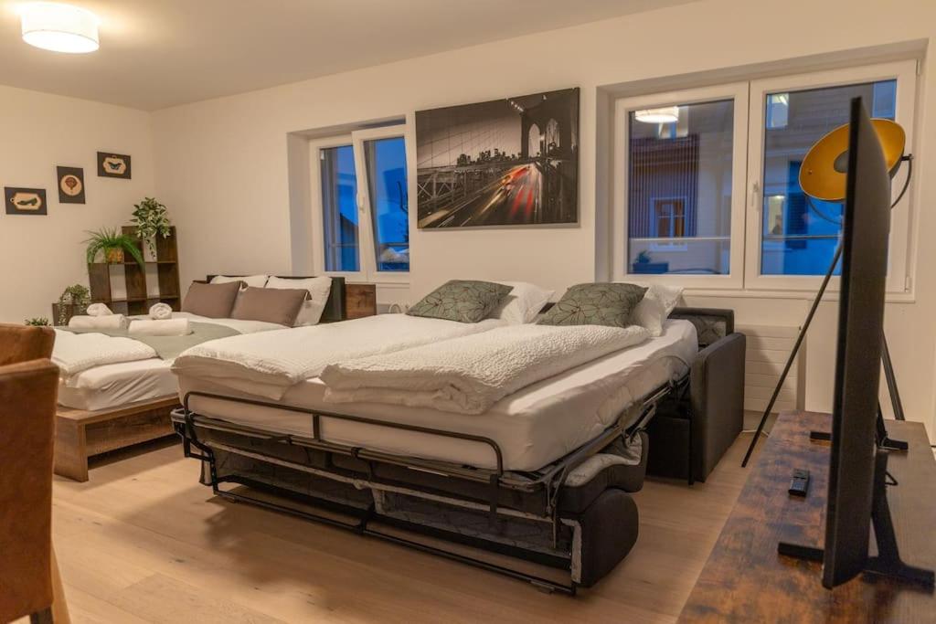 Jasminkas Host 2, Ruhig, City und Naturnah, Gratis Parkplatz und Balkon - Resim 27