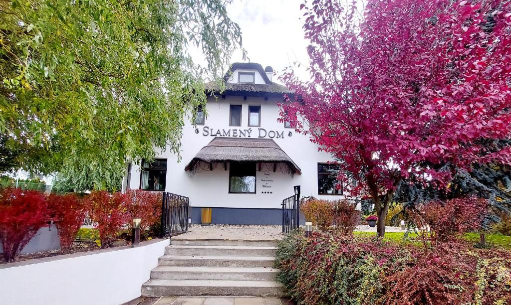 Hotel Slamený Dom & SPA - Resim 9