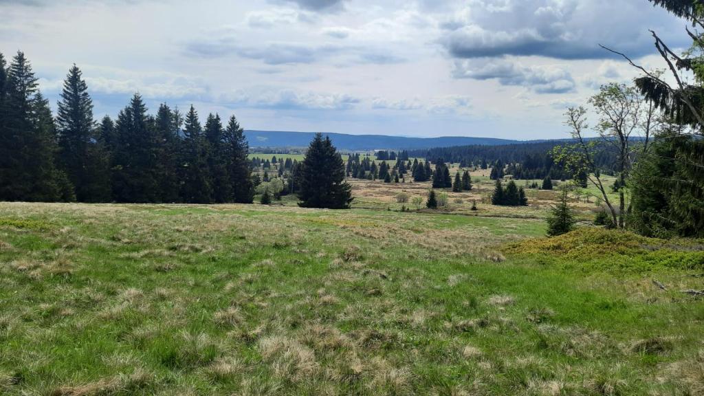 Příroda nedaleko apartmánu