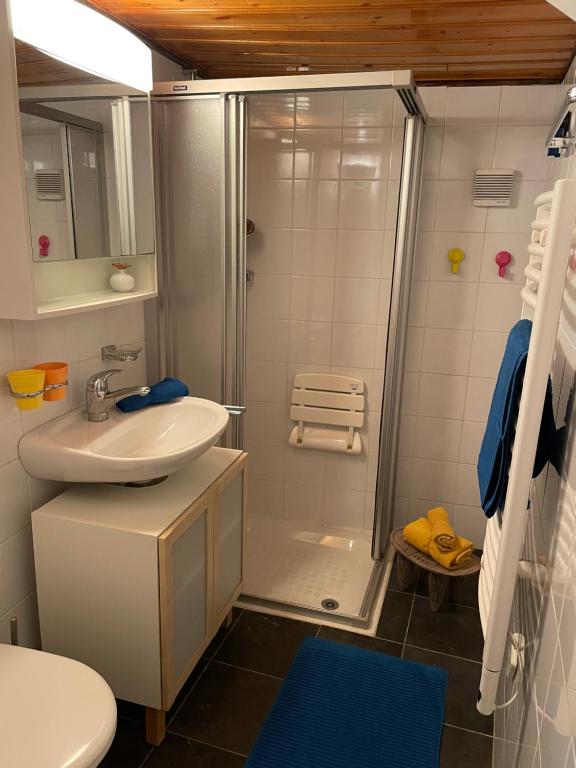 a bathroom with a shower and a sink and a toilet at La Grande Majorie de Nendaz in Nendaz