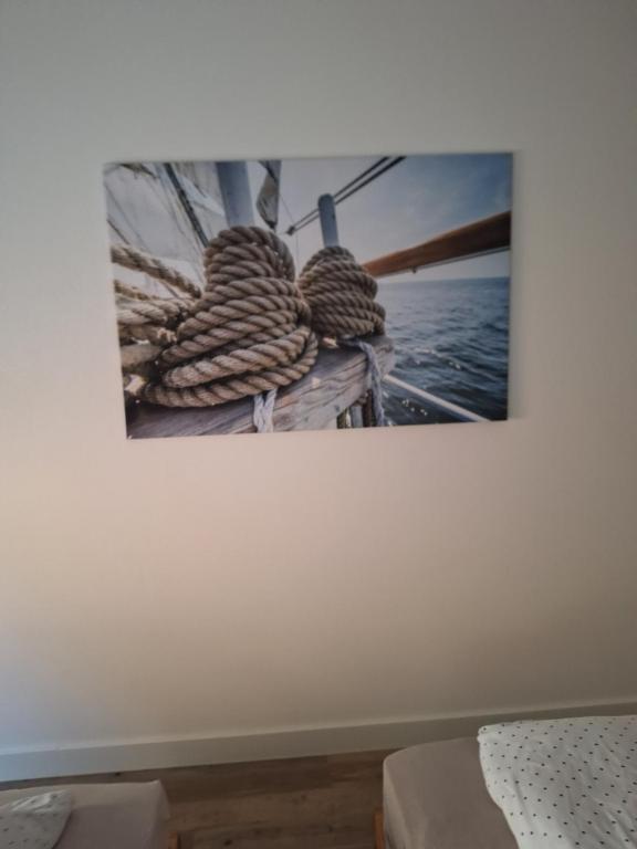 Fotografie z fotogalerie ubytování Brigg v destinaci Emden