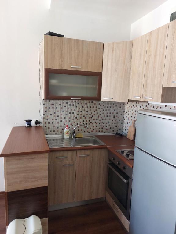 Kuchyň nebo kuchyňský kout v ubytování Apartmani Kuzman