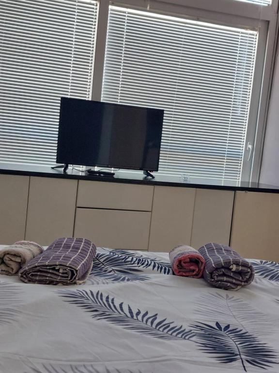 TV a/nebo společenská místnost v ubytování Apartmani Kuzman