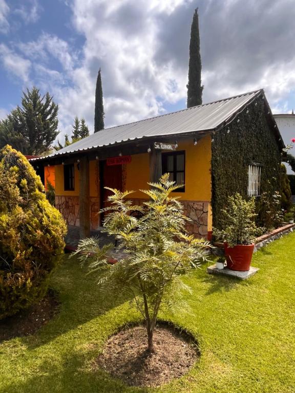 Zahrada ubytování Cabañas Cumbres de Aguacatitla