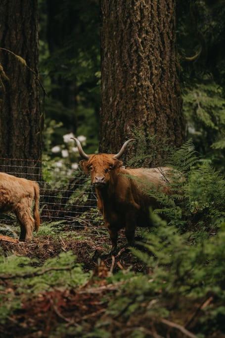 Highland Farms - Your Private Forest Farm