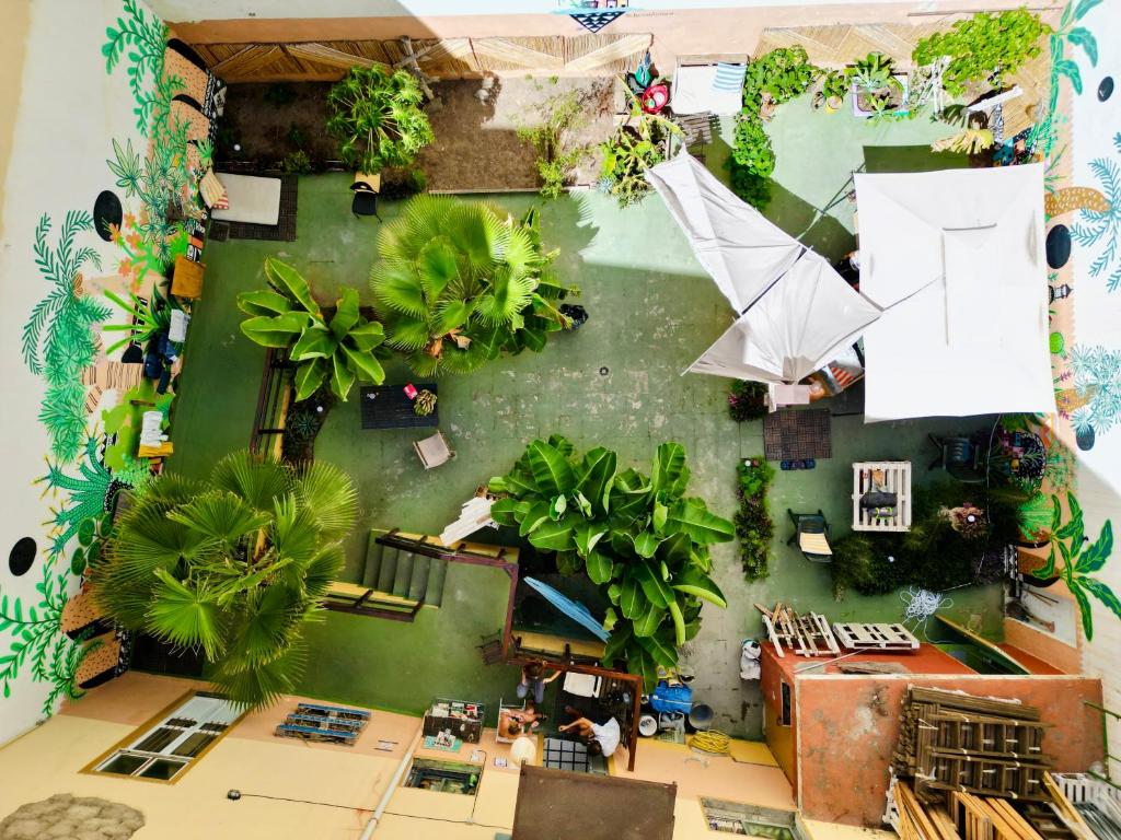Vonkajšia záhrada v ubytovaní Jungle House