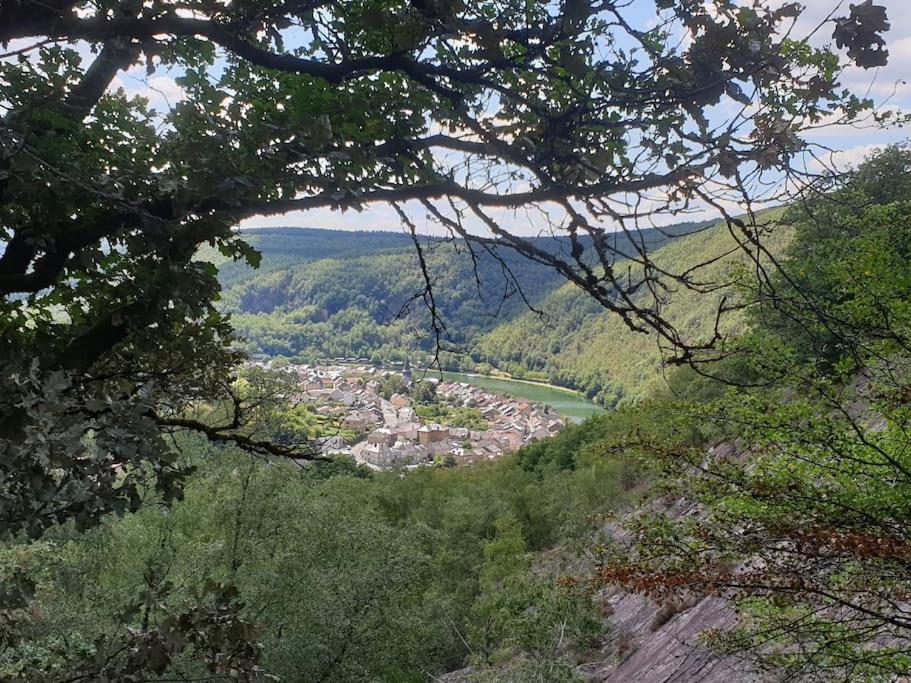 Blick auf ein Tal von einem Berg mit Bäumen in der Unterkunft La Petite Maison Pa'Meuse in Monthermé