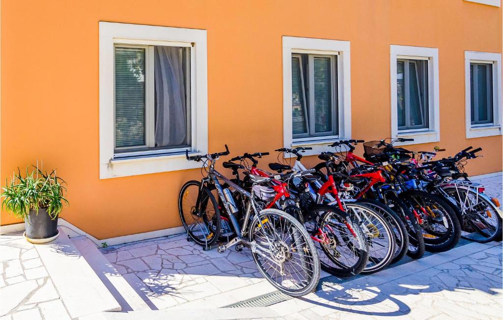 Jazda na bicykli v okolí ubytovania One-Bedroom Apartment In Slano