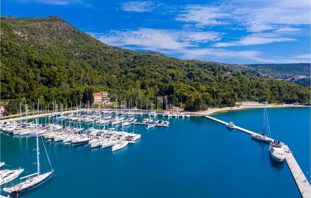 Príroda v okolí apartmánu