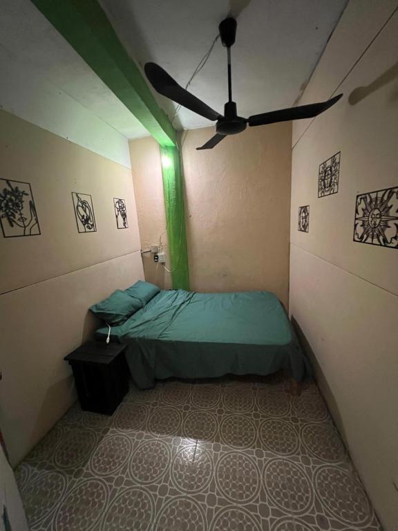 Giường trong phòng chung tại Pipeline Hostel