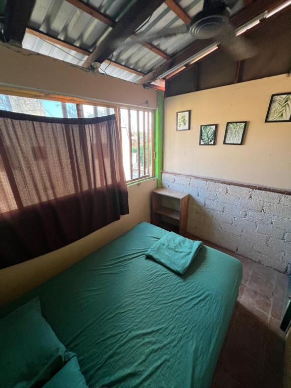 Giường trong phòng chung tại Pipeline Hostel