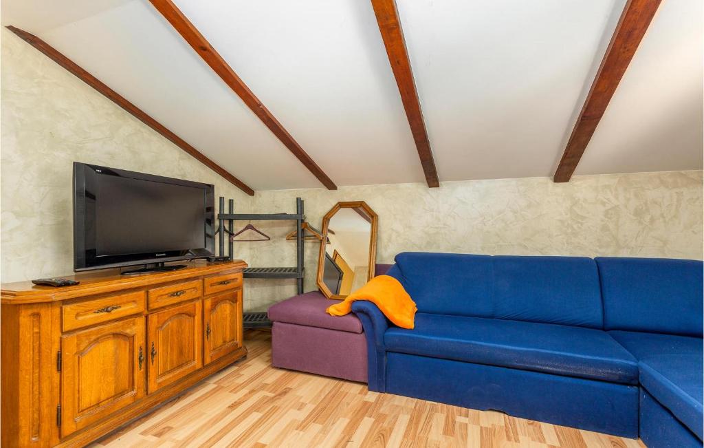 Televízia a/alebo spoločenská miestnosť v ubytovaní Awesome Apartment In Njivice With Wifi